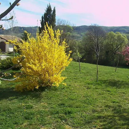 Cimerone * Castel Di Sangro