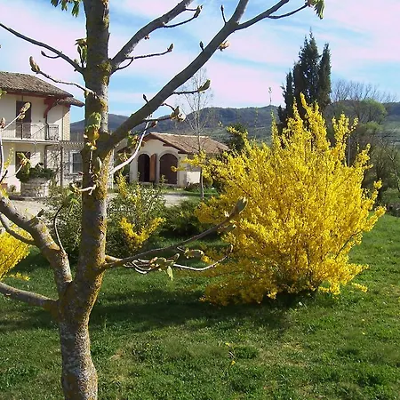 Bed & Breakfast Cimerone